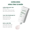Combo Chăm Sóc Da Mụn Caryophy: Mặt Nạ, Toner, Serum, Kem Dưỡng, Gel Tẩy Da Chết - Giá chỉ 237.000đ 9