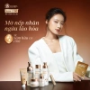 Combo Chăm Sóc Da Sâm 1.700 – Ngừa Lão Hoá, Mờ Nếp Nhăn, Đốm Nâu – Giá ưu đãi 1.920.000 VND 8