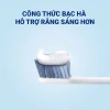 Combo Crest 3D White Brilliance Vibrant 130g x2 - Kem làm trắng, bảo vệ men, 469k 3