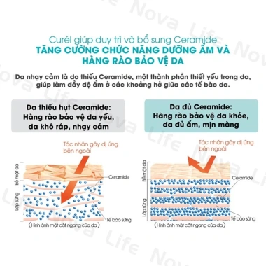 Combo Curel Da Khô và Nhạy Cảm - Kem Dưỡng Phục Hồi + Sữa Rửa Mặt Tạo Bọt, Ngừa Khô Căng, Mẩn Đỏ, 233.901₫ 3