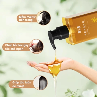 Combo Dầu Gội & Dầu Xả Khổ Sâm Ngăn Rụng Tóc 400ml - Mọc Tóc, Giá Ưu Đãi 400.000VND