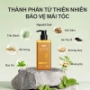 Combo Dầu Gội & Dầu Xả Khổ Sâm Ngăn Rụng Tóc 400ml - Mọc Tóc, Giá Ưu Đãi 400.000VND 3