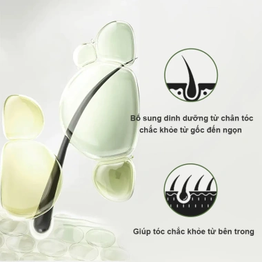 Combo Dầu Gội & Dầu Xả Khổ Sâm Ngăn Rụng Tóc 400ml - Mọc Tóc, Giá Ưu Đãi 400.000VND