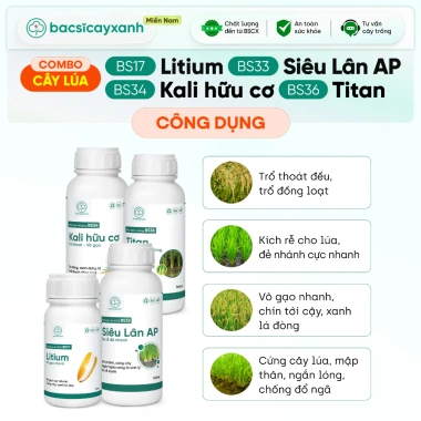 Combo Dưỡng Lúa Đẻ Nhánh Chắc Hạt BS17-BS36 - Giảm 20% Tại Bác Sĩ Cây Xanh 2 Combo Dưỡng Lúa Đẻ Nhánh Chắc Hạt BS17-BS36 - Giảm 20% Tại Bác Sĩ Cây Xanh 2