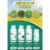 Combo Dưỡng Lúa Đẻ Nhánh Chắc Hạt BS17-BS36 - Giảm 20% Tại Bác Sĩ Cây Xanh 3