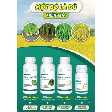 Combo Dưỡng Lúa Đẻ Nhánh Chắc Hạt BS17-BS36 - Giảm 20% Tại Bác Sĩ Cây Xanh 3 Combo Dưỡng Lúa Đẻ Nhánh Chắc Hạt BS17-BS36 - Giảm 20% Tại Bác Sĩ Cây Xanh 3