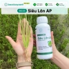 Combo Dưỡng Lúa Đẻ Nhánh Chắc Hạt BS17-BS36 - Giảm 20% Tại Bác Sĩ Cây Xanh 5