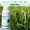 Combo Dưỡng Lúa Đẻ Nhánh Chắc Hạt BS17-BS36 - Giảm 20% Tại Bác Sĩ Cây Xanh 6