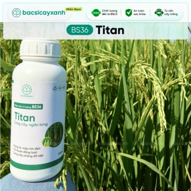 Combo Dưỡng Lúa Đẻ Nhánh Chắc Hạt BS17-BS36 - Giảm 20% Tại Bác Sĩ Cây Xanh 6 Combo Dưỡng Lúa Đẻ Nhánh Chắc Hạt BS17-BS36 - Giảm 20% Tại Bác Sĩ Cây Xanh 6