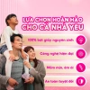 Combo gia đình 2 bịch Giấy vệ sinh Posy 10 cuộn 3 lớp, lõi mềm tan nhanh, giá 129.000₫ 5