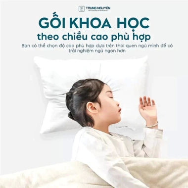 Combo gối bông gòn Trung Nguyên - mềm mại, thoáng mát, nâng đỡ chuẩn, giá chỉ 132.000đ