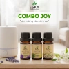 Combo JOY Tinh Dầu Nguyên Chất ESKY Aroma Garden 3x10ml – Tặng Đá Khuếch Tán, Thư Giãn Cân Bằng Cảm Xúc – 160.900 VND