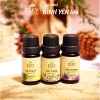 Combo JOY Tinh Dầu Nguyên Chất ESKY Aroma Garden 3x10ml – Tặng Đá Khuếch Tán, Thư Giãn Cân Bằng Cảm Xúc – 160.900 VND 2