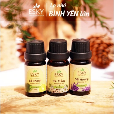 Combo JOY Tinh Dầu Nguyên Chất ESKY Aroma Garden 3x10ml – Tặng Đá Khuếch Tán, Thư Giãn Cân Bằng Cảm Xúc – 160.900 VND 2 Combo JOY Tinh Dầu Nguyên Chất ESKY Aroma Garden 3x10ml – Tặng Đá Khuếch Tán, Thư Giãn Cân Bằng Cảm Xúc – 160.900 VND 2