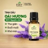 Combo JOY Tinh Dầu Nguyên Chất ESKY Aroma Garden 3x10ml – Tặng Đá Khuếch Tán, Thư Giãn Cân Bằng Cảm Xúc – 160.900 VND 4