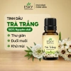 Combo JOY Tinh Dầu Nguyên Chất ESKY Aroma Garden 3x10ml – Tặng Đá Khuếch Tán, Thư Giãn Cân Bằng Cảm Xúc – 160.900 VND 5