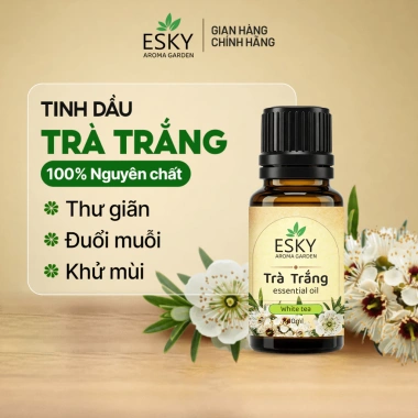 Combo JOY Tinh Dầu Nguyên Chất ESKY Aroma Garden 3x10ml – Tặng Đá Khuếch Tán, Thư Giãn Cân Bằng Cảm Xúc – 160.900 VND 5 Combo JOY Tinh Dầu Nguyên Chất ESKY Aroma Garden 3x10ml – Tặng Đá Khuếch Tán, Thư Giãn Cân Bằng Cảm Xúc – 160.900 VND 5