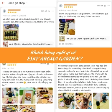 Combo JOY Tinh Dầu Nguyên Chất ESKY Aroma Garden 3x10ml – Tặng Đá Khuếch Tán, Thư Giãn Cân Bằng Cảm Xúc – 160.900 VND 7 Combo JOY Tinh Dầu Nguyên Chất ESKY Aroma Garden 3x10ml – Tặng Đá Khuếch Tán, Thư Giãn Cân Bằng Cảm Xúc – 160.900 VND 7