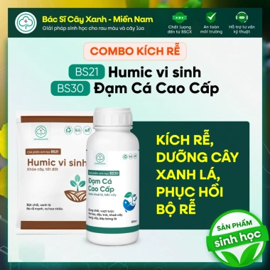 Combo Kích Rễ BS21 + Humic BS30 & Đạm Cá - Xử Lý Đất Trồng Rau Màu Cây Xanh 183k Combo Kích Rễ BS21 + Humic BS30 & Đạm Cá - Xử Lý Đất Trồng Rau Màu Cây Xanh 183k