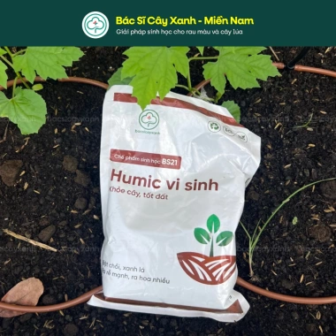 Combo Kích Rễ BS21 + Humic BS30 & Đạm Cá - Xử Lý Đất Trồng Rau Màu Cây Xanh 183k 2 Combo Kích Rễ BS21 + Humic BS30 & Đạm Cá - Xử Lý Đất Trồng Rau Màu Cây Xanh 183k 2