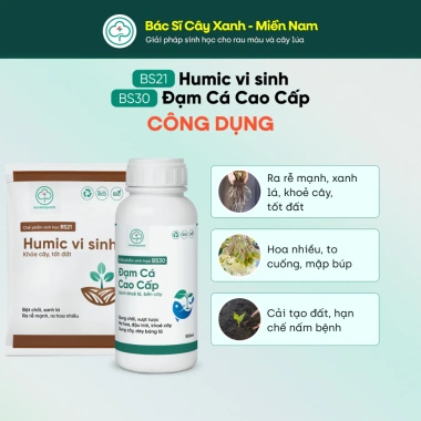 Combo Kích Rễ BS21 + Humic BS30 & Đạm Cá - Xử Lý Đất Trồng Rau Màu Cây Xanh 183k 4 Combo Kích Rễ BS21 + Humic BS30 & Đạm Cá - Xử Lý Đất Trồng Rau Màu Cây Xanh 183k 4