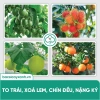 Combo Kích Rễ BS21 + Humic BS30 & Đạm Cá - Xử Lý Đất Trồng Rau Màu Cây Xanh 183k 7