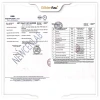 Combo Mật Ong Nguyên Chất The Golden Bee 4 Loại 150-500g Mật Ong Thiên Nhiên Giá Chỉ 44.000đ 7
