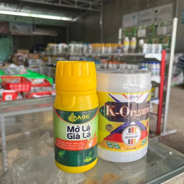 Combo Mở lá AOC + K-aaaroganic - Mở lá cực nhanh, đồng loạt, xanh lá, dày lá, chuyển lụa nhanh - Giá chỉ 109.000 VND