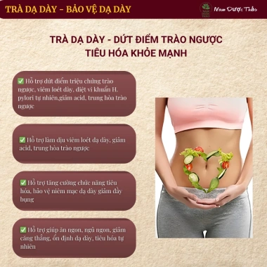Combo Mua 2 Tặng 1 Trà An Vị Trào Ngược Dạ Dày - Thanh Nhiệt, Tả Hỏa, Giảm Ợ Chua Nóng, Phục Hồi Tiêu Hóa 398k 6