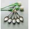 Combo Muỗng Nĩa Đa Dạng Giá Ưu Đãi 52.000 VNĐ và Bộ Dụng Cụ Ăn Uống Tiện Lợi Cho Gia Đình 6