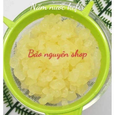 Combo nấm kefir 30g, rây nhựa, hũ nuôi 500ml, 1kg đường, giá ưu đãi 152.000đ