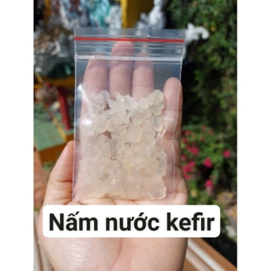 Combo nấm kefir 30g, rây nhựa, hũ nuôi 500ml, 1kg đường, giá ưu đãi 152.000đ
