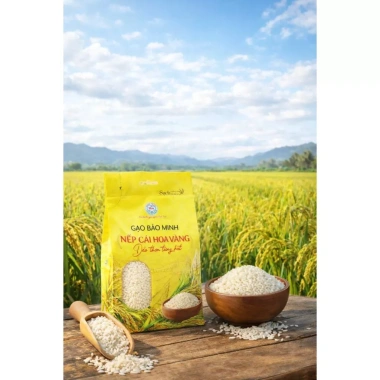 Combo Nếp Cái Hoa Vàng 1kg + Đậu Xanh Bóc Vỏ 500g - Xôi Đậu Xanh Tết Giá Giảm 192k 5