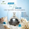 Combo Ngày Đêm GS3 Collagen DrCell Sỉ 3+ Sản Phẩm, Giá 750.000, Dưỡng Da & Sức Khỏe 3