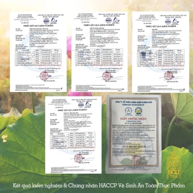 Combo Ngự Trà Cung Đình Nguyễn: 4 Hộp Trà Quà Tặng 40g, Giá Ưu Đãi 470.000₫ 2 Combo Ngự Trà Cung Đình Nguyễn: 4 Hộp Trà Quà Tặng 40g, Giá Ưu Đãi 470.000₫ 2