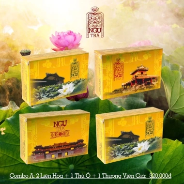 Combo Ngự Trà Cung Đình Nguyễn: 4 Hộp Trà Quà Tặng 40g, Giá Ưu Đãi 470.000₫