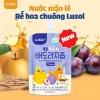 Combo nước ép lê + rễ hoa chuông đen nguyên chất Lusol cho bé 6 tháng - Giá ưu đãi 310.000 VND 12