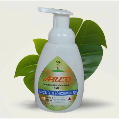 Combo Nước rửa tay Bồ hòn tinh dầu 2L+250ml Dạng bọt siêu tiết kiệm - Khử khuẩn hiệu quả 9