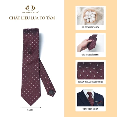 Combo quà tặng 2 món Cà vạt lụa tơ tằm và Kẹp cà vạt cao cấp - Thomas Nguyen, giảm giá 19% 6