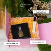 Combo Quà Tặng Nữ Tinh Dầu Lăn - CHAVA Simple 12ml và 5 Lọ Mini 10ml Giá 481.000 VND 2