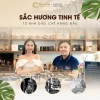 Combo Quà Tặng Nữ Tinh Dầu Lăn - CHAVA Simple 12ml và 5 Lọ Mini 10ml Giá 481.000 VND 8