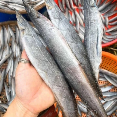 Combo Quà Tết 500g Tôm Khô 500g Mực Khô Cá Chạch 1 Nắng Giá ưu đãi 1.999.000 VND 4