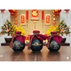 Combo Quà Tết Ái Lâm ủ 6 tháng - Rượu đặc biệt, giảm còn 210.000đ 2