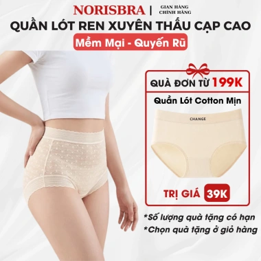 Combo quần lót ren nữ AMYBRA: quần chip cạp cao ôm, ren mỏng co dãn họa tiết hoa