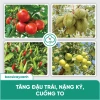 Combo Ra Hoa Đậu Trái BS15 Nuti BS29 Siêu Lân - Kích Rễ Đẻ Nhánh | Bác Sĩ Cây Xanh 7
