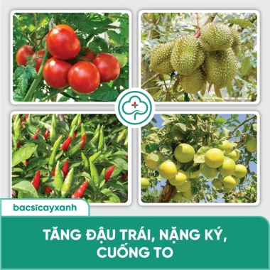 Combo Ra Hoa Đậu Trái BS15 Nuti BS29 Siêu Lân - Kích Rễ Đẻ Nhánh | Bác Sĩ Cây Xanh 7 Combo Ra Hoa Đậu Trái BS15 Nuti BS29 Siêu Lân - Kích Rễ Đẻ Nhánh | Bác Sĩ Cây Xanh 7