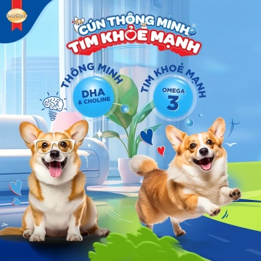 Combo SmartHeart 2 Bịch Thức Ăn Chó Hạt Gà & Gan 1.5kg + Set Nón Yếm - Giá Ưu Đãi 214k