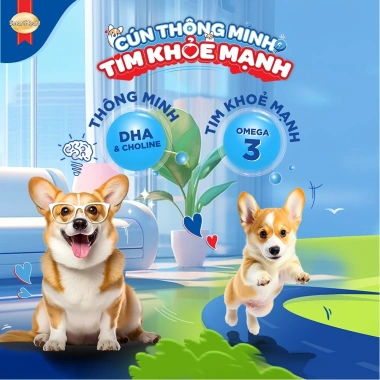 Combo SmartHeart 2 bịch Thức ăn chó mẹ & sơ sinh 1,3kg + Set Nón Yếm - Giá ưu đãi 259k 2