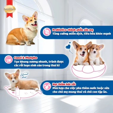 Combo SmartHeart 2 bịch Thức ăn chó mẹ & sơ sinh 1,3kg + Set Nón Yếm - Giá ưu đãi 259k 3
