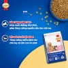 Combo SmartHeart 2 bịch Thức ăn chó mẹ & sơ sinh 1,3kg + Set Nón Yếm - Giá ưu đãi 259k 4